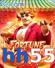 hh55